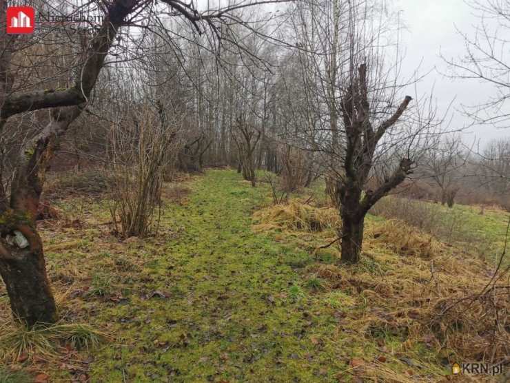 Działki  na sprzedaż, , Golkowice, ul. 