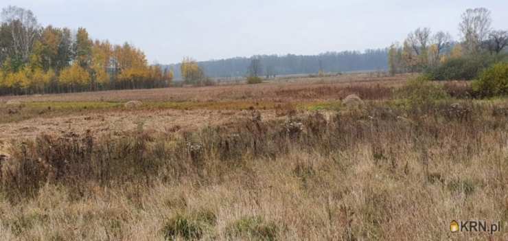 , Działki  na sprzedaż, Nowa Osuchowa, ul. 