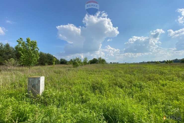 , Wąsy-Kolonia, ul. , Działki  na sprzedaż