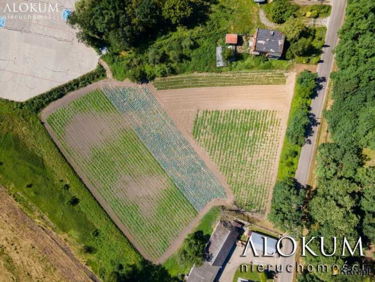 Igołomia, ul. , Działki  na sprzedaż, 