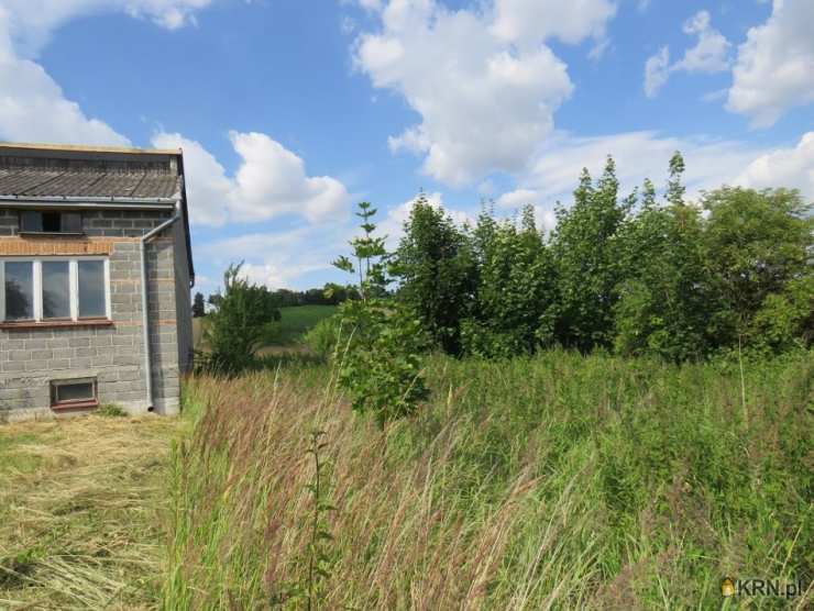 Działki  na sprzedaż, Proszowice, ul. , 