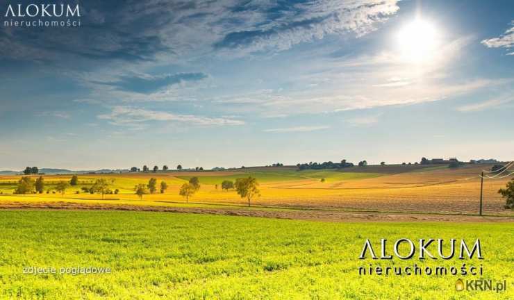 Działki  na sprzedaż, Zagórze, ul. , 