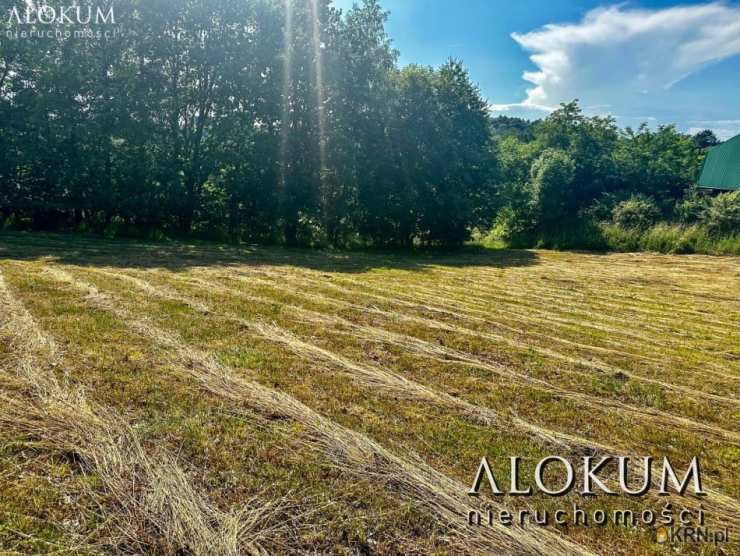 ALOKUM Nieruchomości, Działki  na sprzedaż, Raciborsko, ul. 