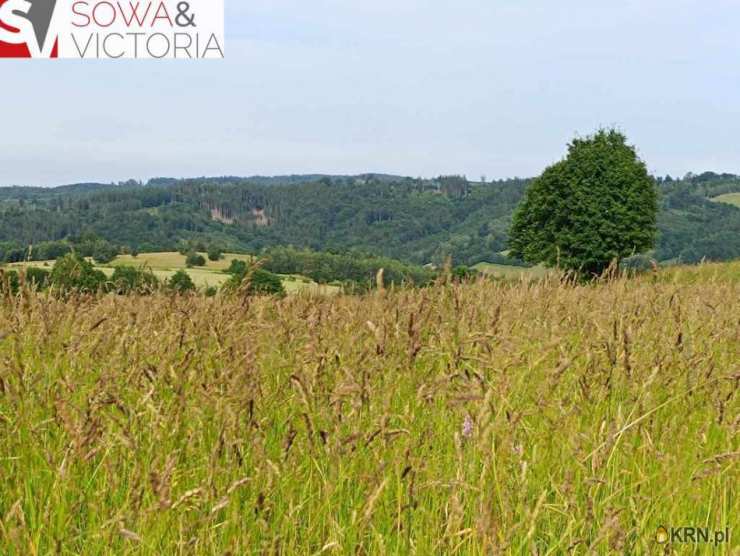 Niedźwiedzica, ul. , , Działki  na sprzedaż