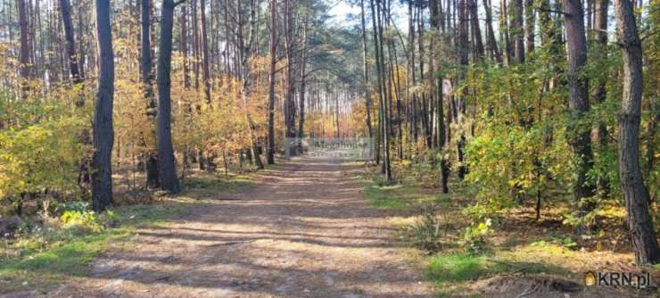 Chwałowice, ul. , Działki  na sprzedaż, 