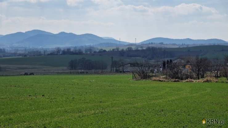 Biuro Nieruchomości SOWA, Działki  na sprzedaż, Dziećmorowice, ul. 