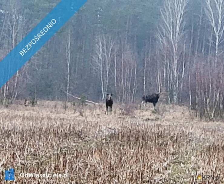 , Lutek, ul. , Działki  na sprzedaż