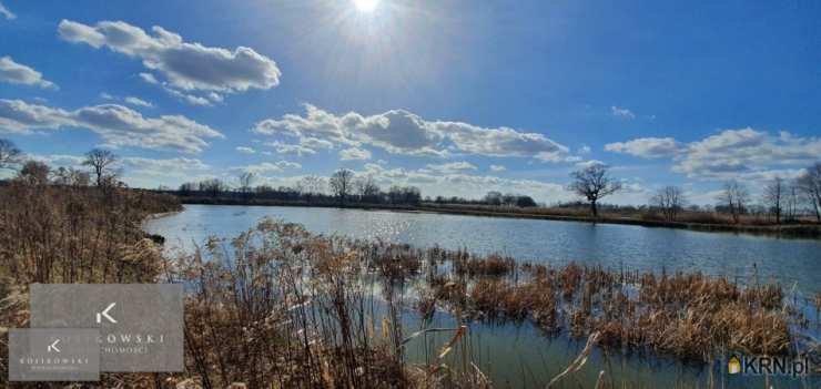 Działki  na sprzedaż, Wilków, ul. , 