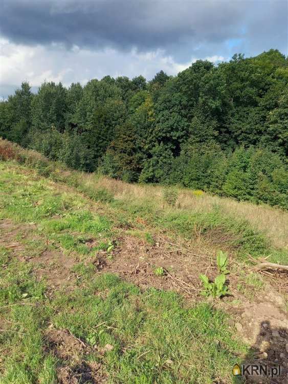 , Wałbrzych, Podgórze I, ul. , Działki  na sprzedaż