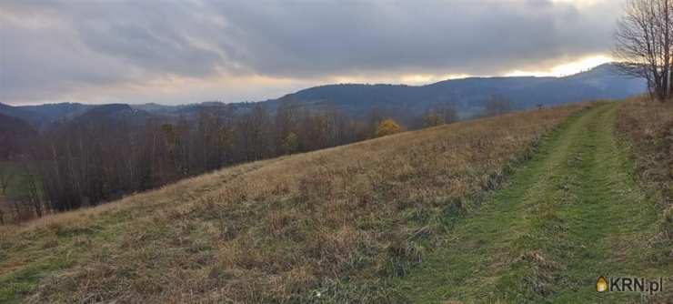 Walim, ul. , Działki  na sprzedaż, 