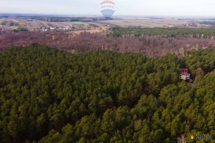 RE/MAX Polska, Działki  na sprzedaż, Ziewanice, ul. 