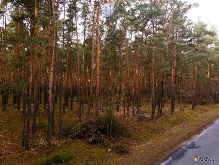 Działki  na sprzedaż, Ziewanice, ul. , 