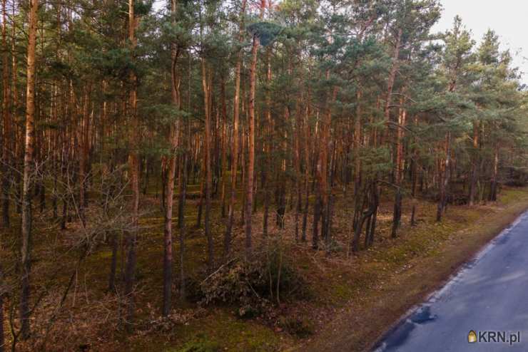 Działki  na sprzedaż, Ziewanice, ul. , 