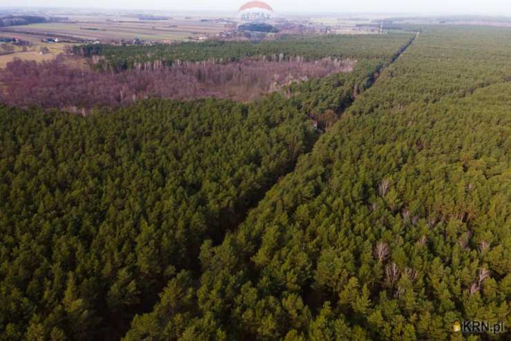 , Ziewanice, ul. , Działki  na sprzedaż