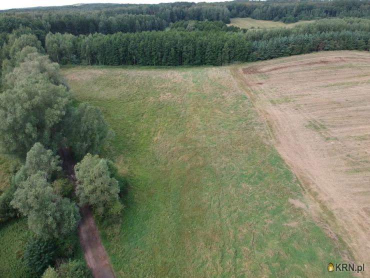 Działki  na sprzedaż, Borzynowo, ul. , 