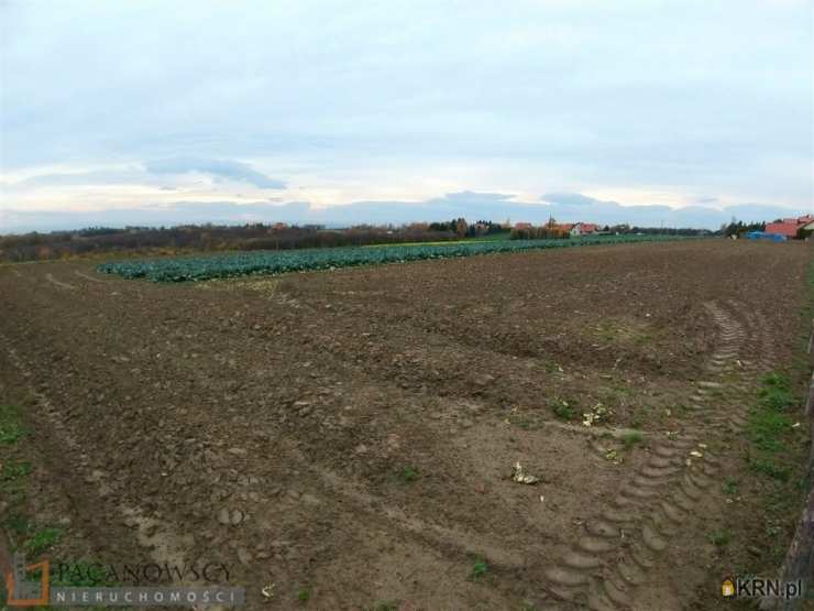 Brzozówka Korzkiewska, ul. , Działki  na sprzedaż, 