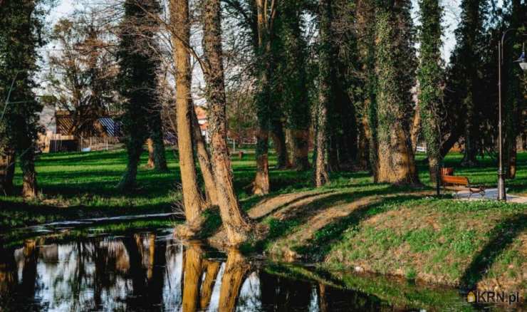 Działki  na sprzedaż, , Radwanice, ul. Katarzyńska