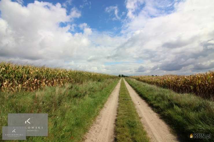 Działki  na sprzedaż, Wilków, ul. , 