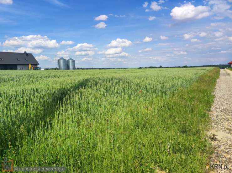 Działki  na sprzedaż, Cianowice Duże, ul. , 