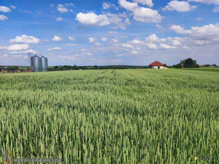 Działki  na sprzedaż, , Cianowice Duże, ul. 