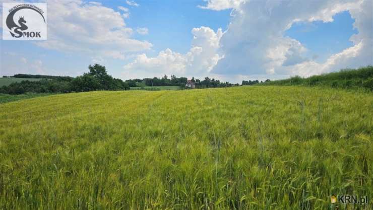 Krasieniec Zakupny, ul. , Działki  na sprzedaż, 