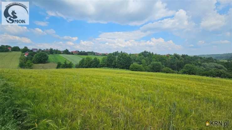 Krasieniec Zakupny, ul. , , Działki  na sprzedaż