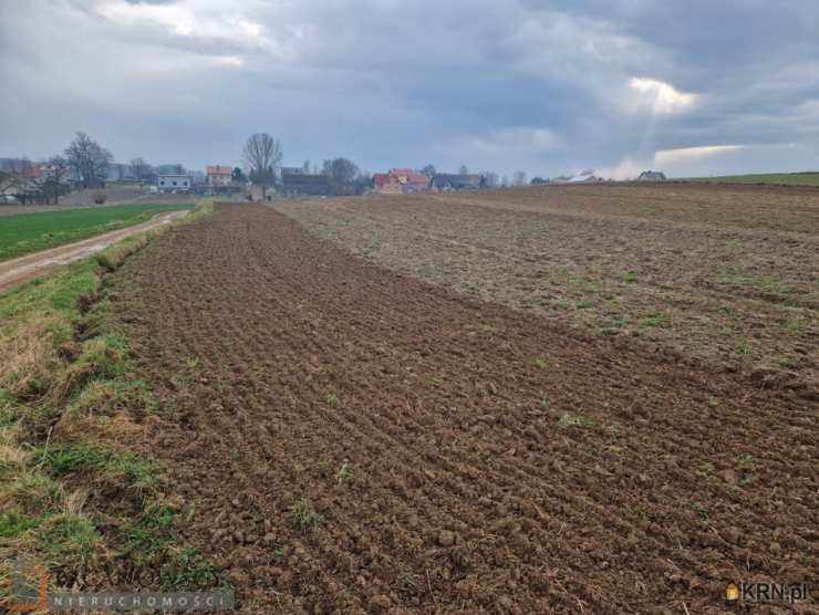 Działki  na sprzedaż, Skrzeszowice, ul. , 