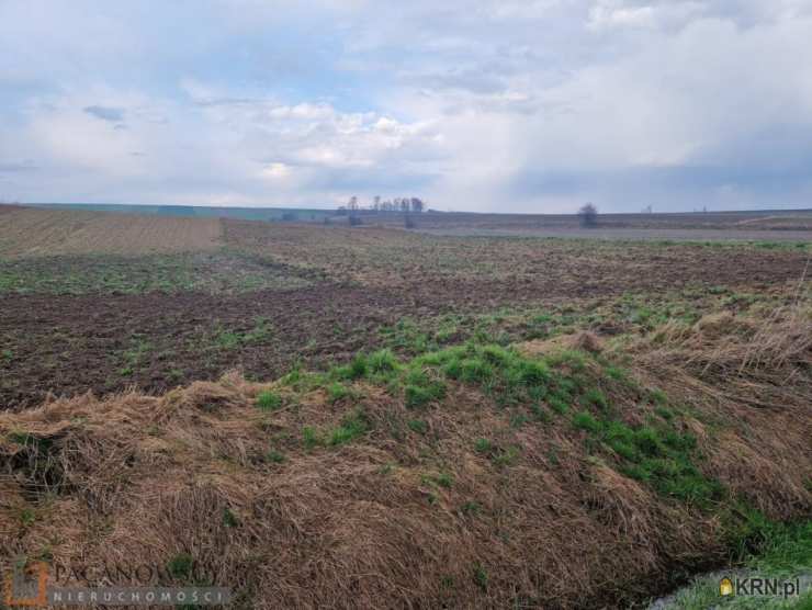 Działki  na sprzedaż, , Skrzeszowice, ul. 