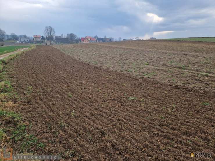 Skrzeszowice, ul. , Działki  na sprzedaż, 