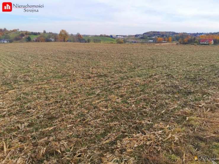 Nieruchomości Strojna, Działki  na sprzedaż, Bodzanów, ul. 