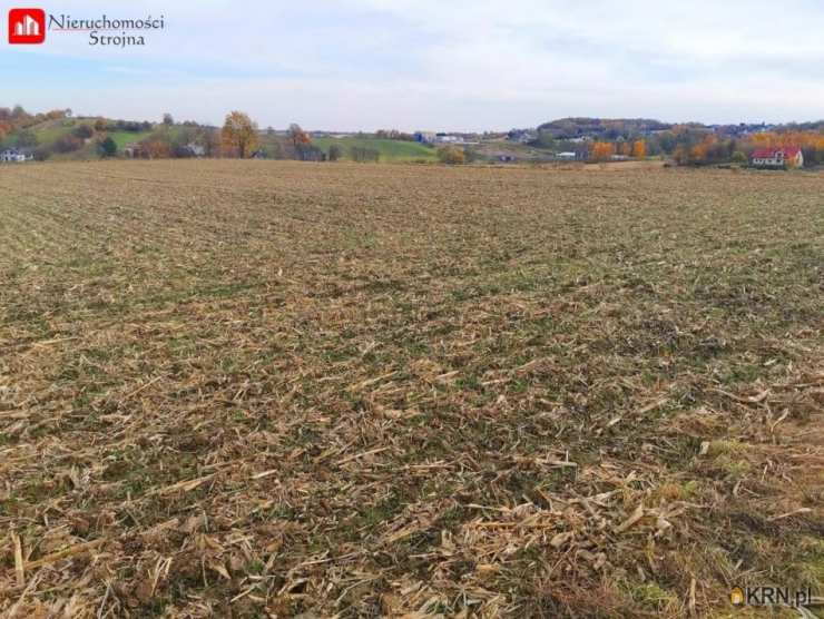 Nieruchomości Strojna, Działki  na sprzedaż, Bodzanów, ul. 