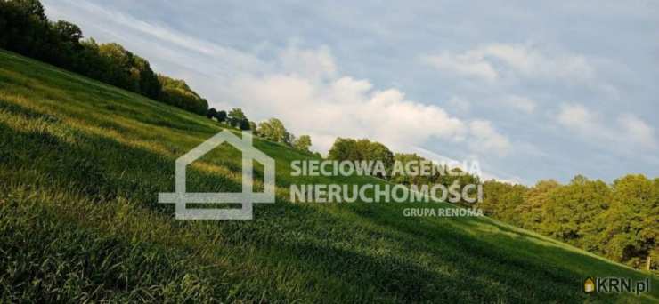 Sieciowa Agencja Nieruchomości Grupa Renoma, Działki  na sprzedaż, Wilkowo Nowowiejskie, ul. 