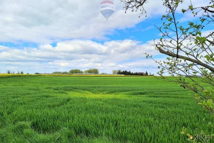 Działki  na sprzedaż, Rokietnica, ul. , 