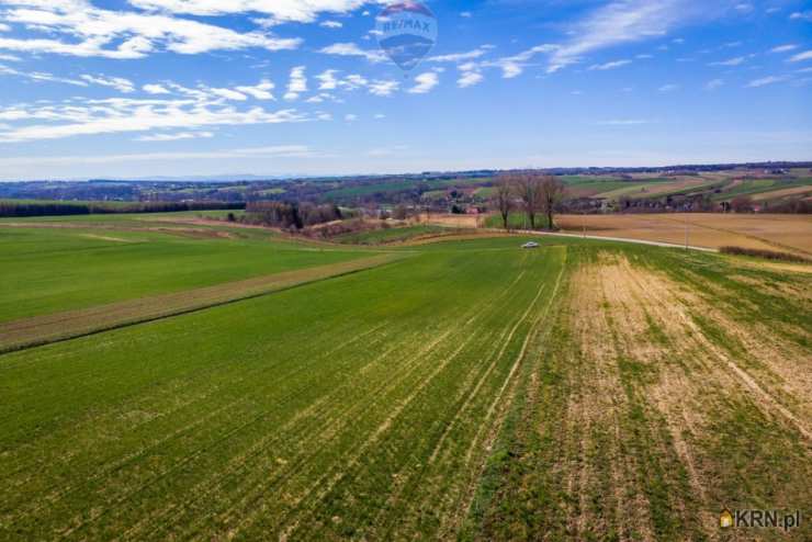 Grzegorzowice Wielkie, ul. , , Działki  na sprzedaż