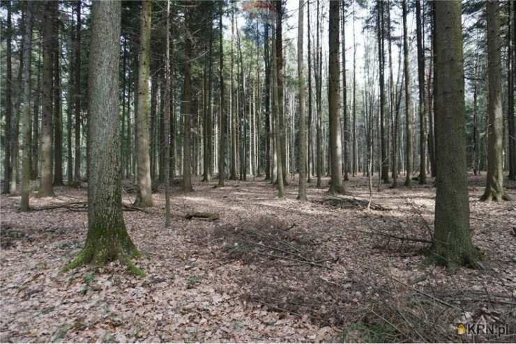 Działki  na sprzedaż, Budzów, ul. , 