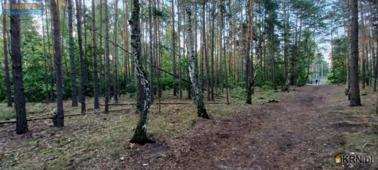 Warszawa, Wesoła/Stara Miłosna, ul. Paproci (Wesoła), Działki  na sprzedaż, 