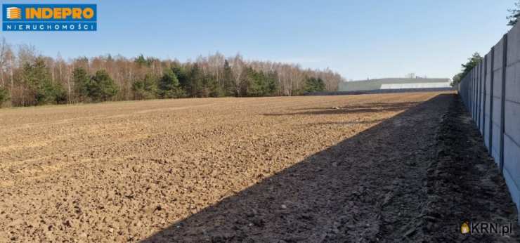 Działki  na sprzedaż, Mrozy, ul. Tartaczna, 