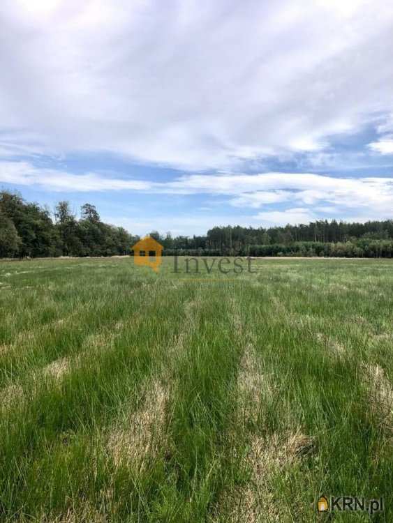 Chocianów, ul. , Działki  na sprzedaż, 