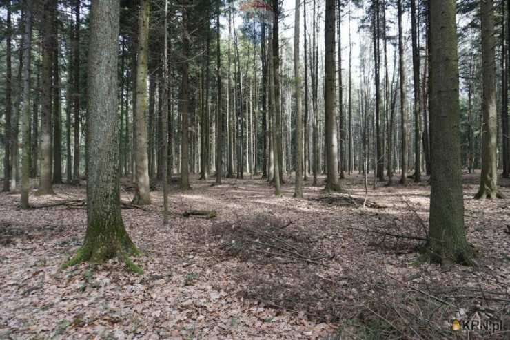 Budzów, ul. , , Działki  na sprzedaż