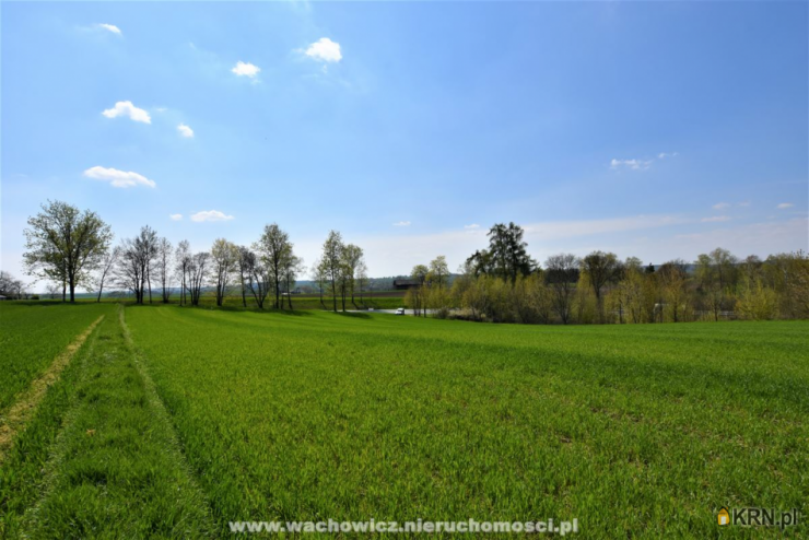 , Działki  na sprzedaż, Orłów, ul. 