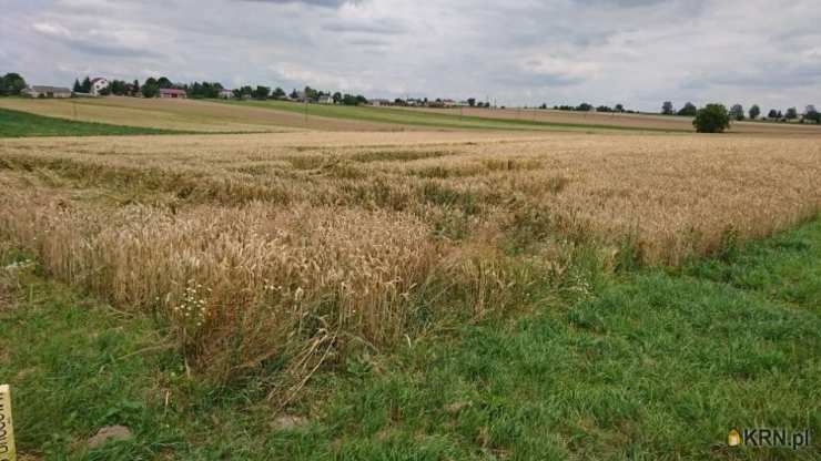 Działki  na sprzedaż, Werbkowice, ul. , 