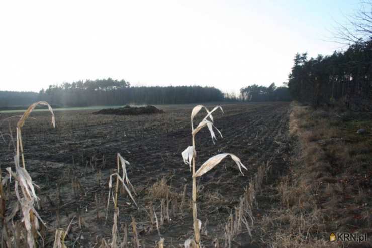 Kaszczor, ul. , Działki  na sprzedaż, 