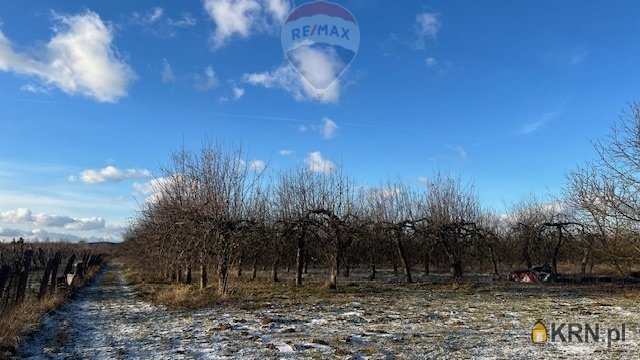 Działki  na sprzedaż, Turowice, ul. , 