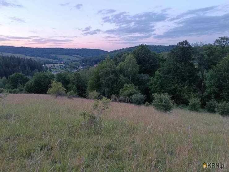 Niedźwiedzica, ul. , Działki  na sprzedaż, 