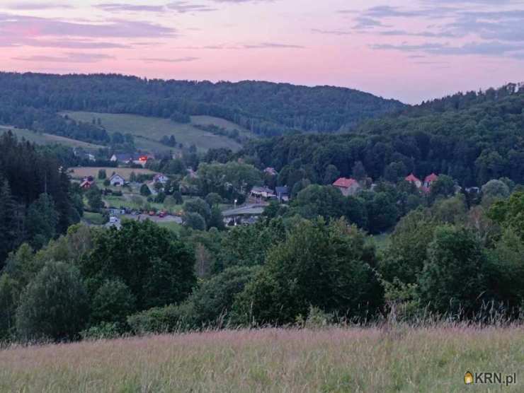 Biuro Nieruchomości SOWA, Działki  na sprzedaż, Niedźwiedzica, ul. 