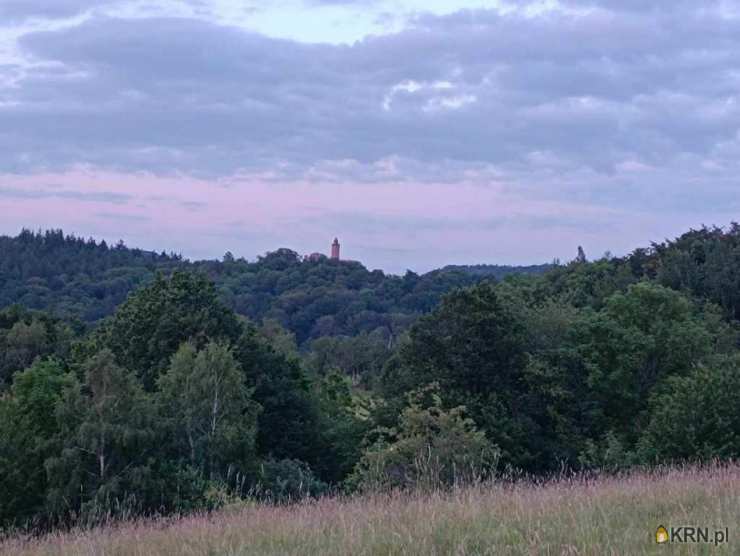 Niedźwiedzica, ul. , Działki  na sprzedaż, 