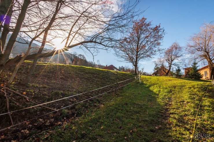 Działki  na sprzedaż, Czaniec, ul. , 