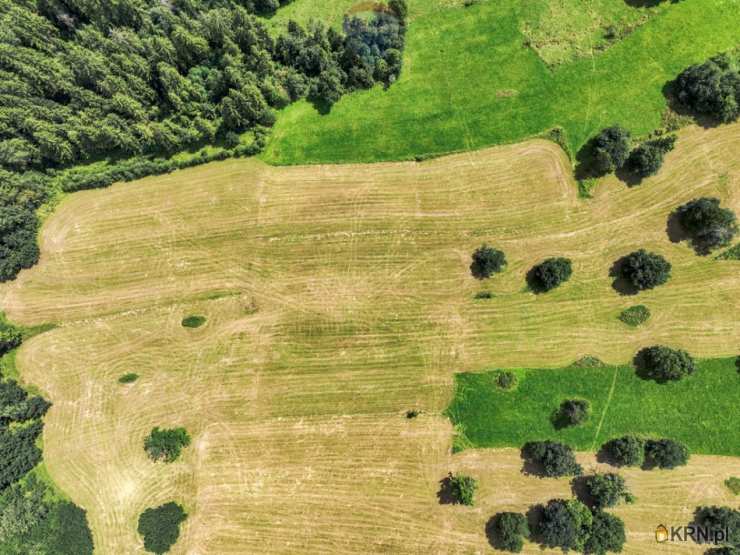 Leśnica, ul. , , Działki  na sprzedaż