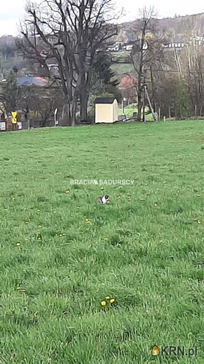 Siedlec, ul. , , Działki  na sprzedaż