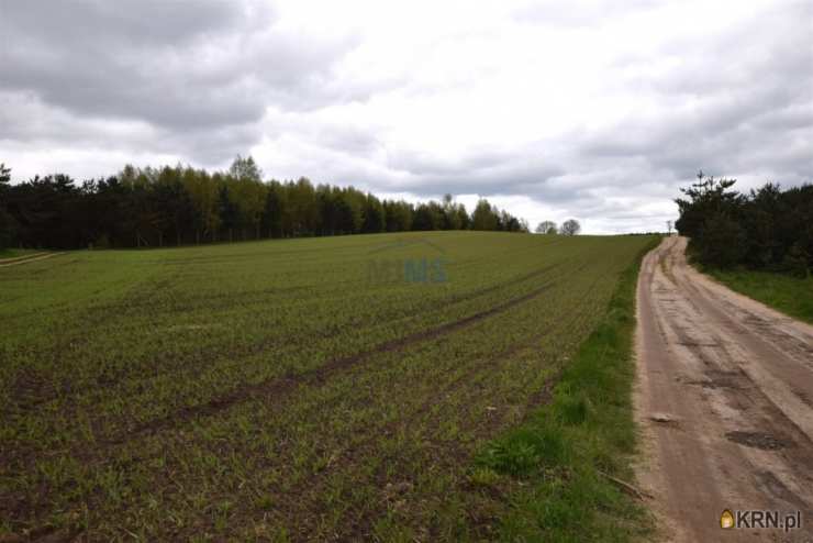 Zakrzewo, ul. , Działki  na sprzedaż, 